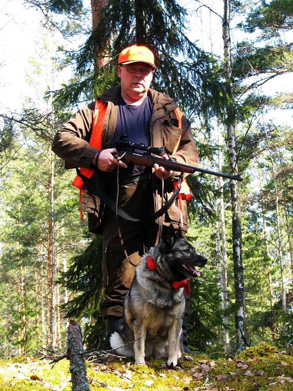Matti Keinänen hirvikoiransa kanssa valmiina jahtiin Matti Keinänen hirvikoiransa kanssa valmiina jahtiin